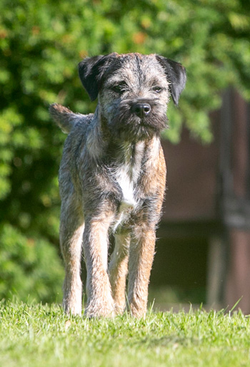 Rumcajs Od Paplov� Cesty